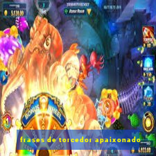 frases de torcedor apaixonado